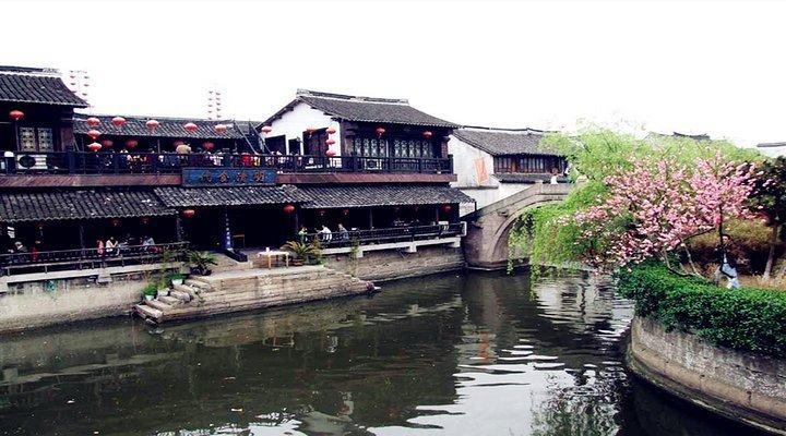 动物帮帮忙保卫家园